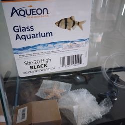 Aquarium Size 20