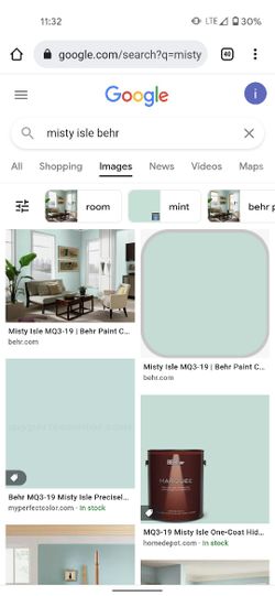 Paint - misty isle behr