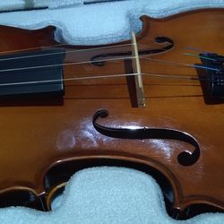 Violin