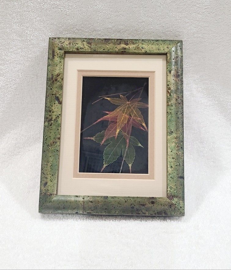 Leaf Lines Japanese Maple Leaves Booker Morey Shadowbox Art Fall Signed Numbered