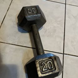 Cast Iron Dumbbell 20lbs