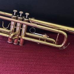 Trumpet with carry case in excellent condition. $100