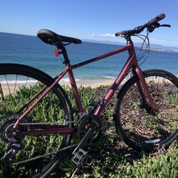 Liv Alight 2   14 Speed Medium size Lightweight Aluminum Frame With Hydraulic Disc Brakes 