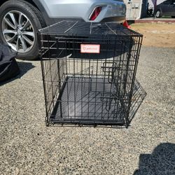 Dog Kennel