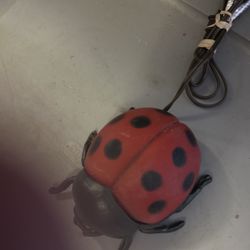 Lady Bug Light
