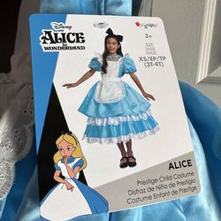 Deluxe Disguise Girls' Disney Prestige Alice Costume 3t-4t 