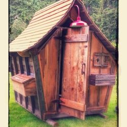 Rustic Shed Cabin Building Tinyhouse Chicken Coop