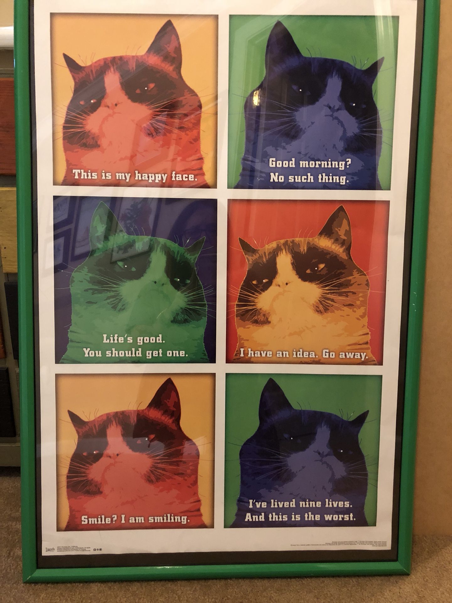 Grumpy Cat poster with nice frame