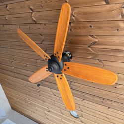 Indoor Outdoor Ceiling Fans