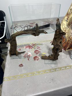 2 Logs With Acrilic Stand And 1 Dragon Stone