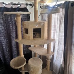 Cat Tree Tower