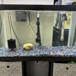 30G Cycled Tank w/Stand, Light, Filters, Gravel