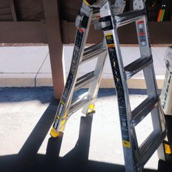 Gorilla Ladder Pretty New 