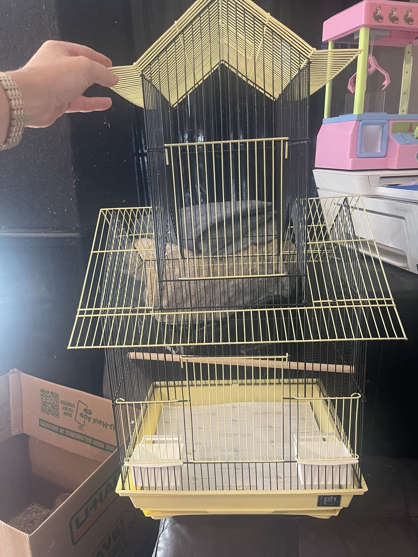 New Bird Cage