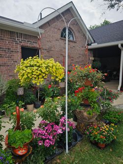 METAL PIPE STEEL TALL SHEPERD HOOK. Talavera, Clay Pots, Planters, Plants. $55 each
