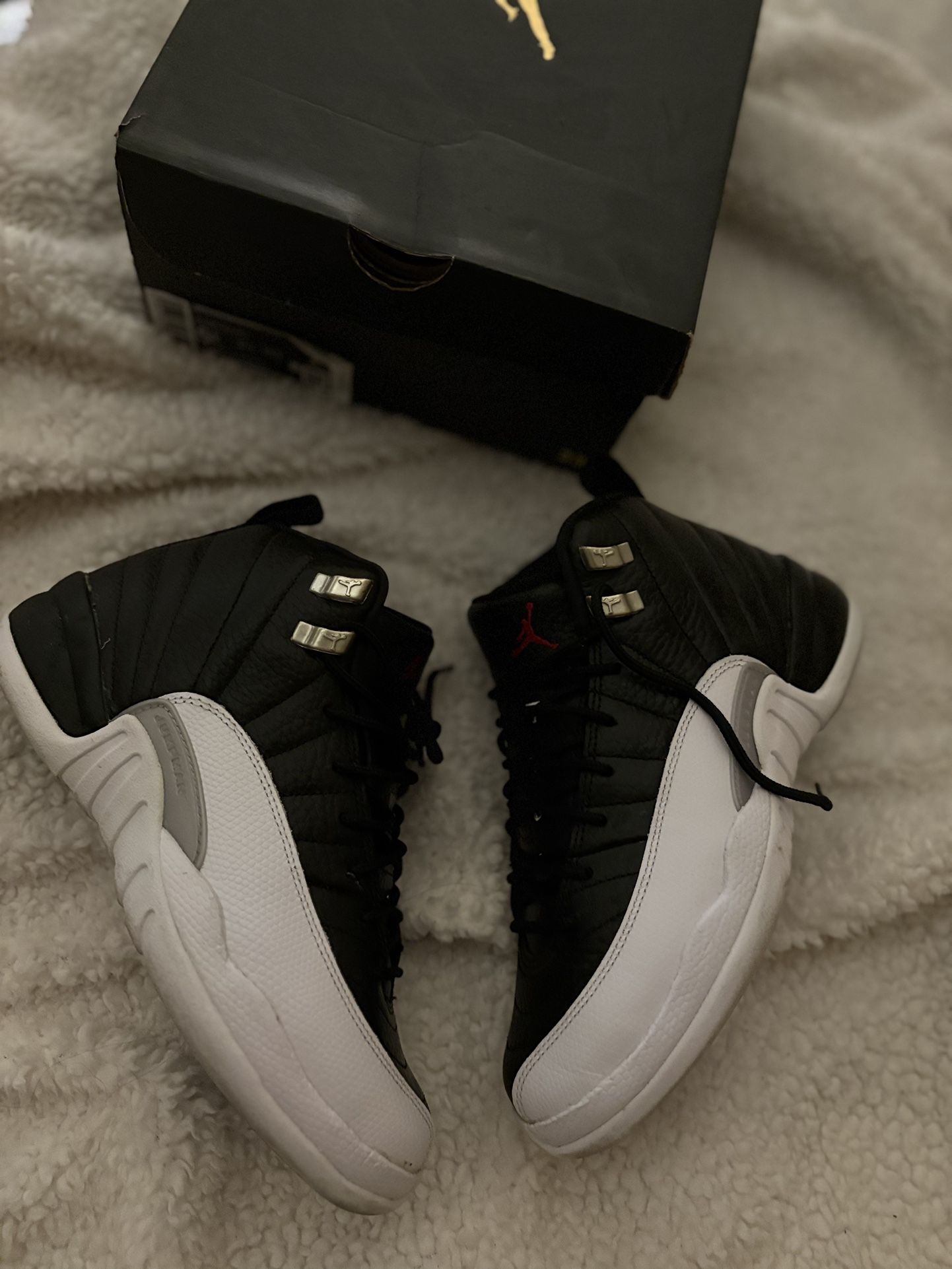 Air Jordan 12s Retro 