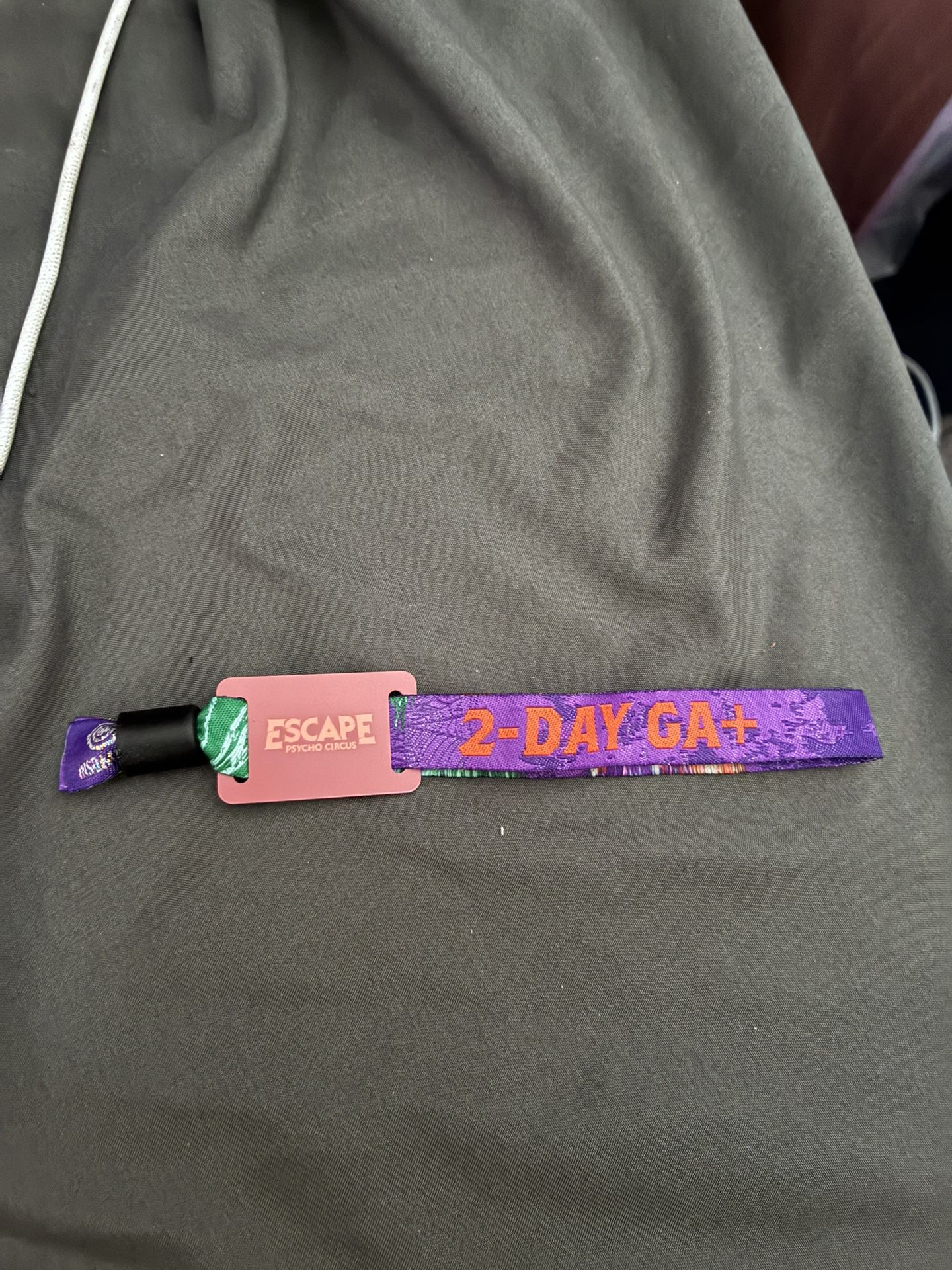 2 DAY GA+ PLUS ESCAPE TICKETS (2 tickets)