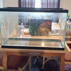 Fish,Turtle,Reptile Glass Tank 
