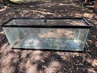 55 Gallon Aquarium