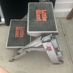 Little Giant Step Ladder