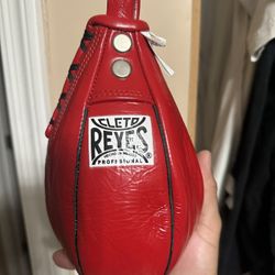 Cleto Reyes Speedbag