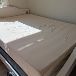 Queen Foam Mattress 