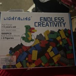 Endless Creativity Ledgos 1000 Pcs