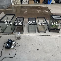 Fish Tanks And Terrariums! READ DASCRIPTION
