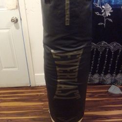 Elite Everlast Punching Bag 100+lbs