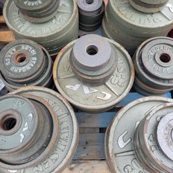 Olympic  Barbell Weight For Gym