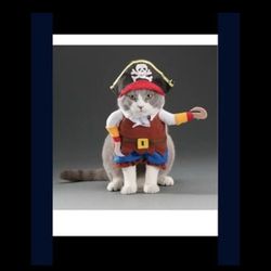 Pirate pet costume (different sizes For small pets