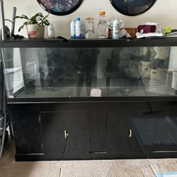 Large Fishtank - 150 Gallons