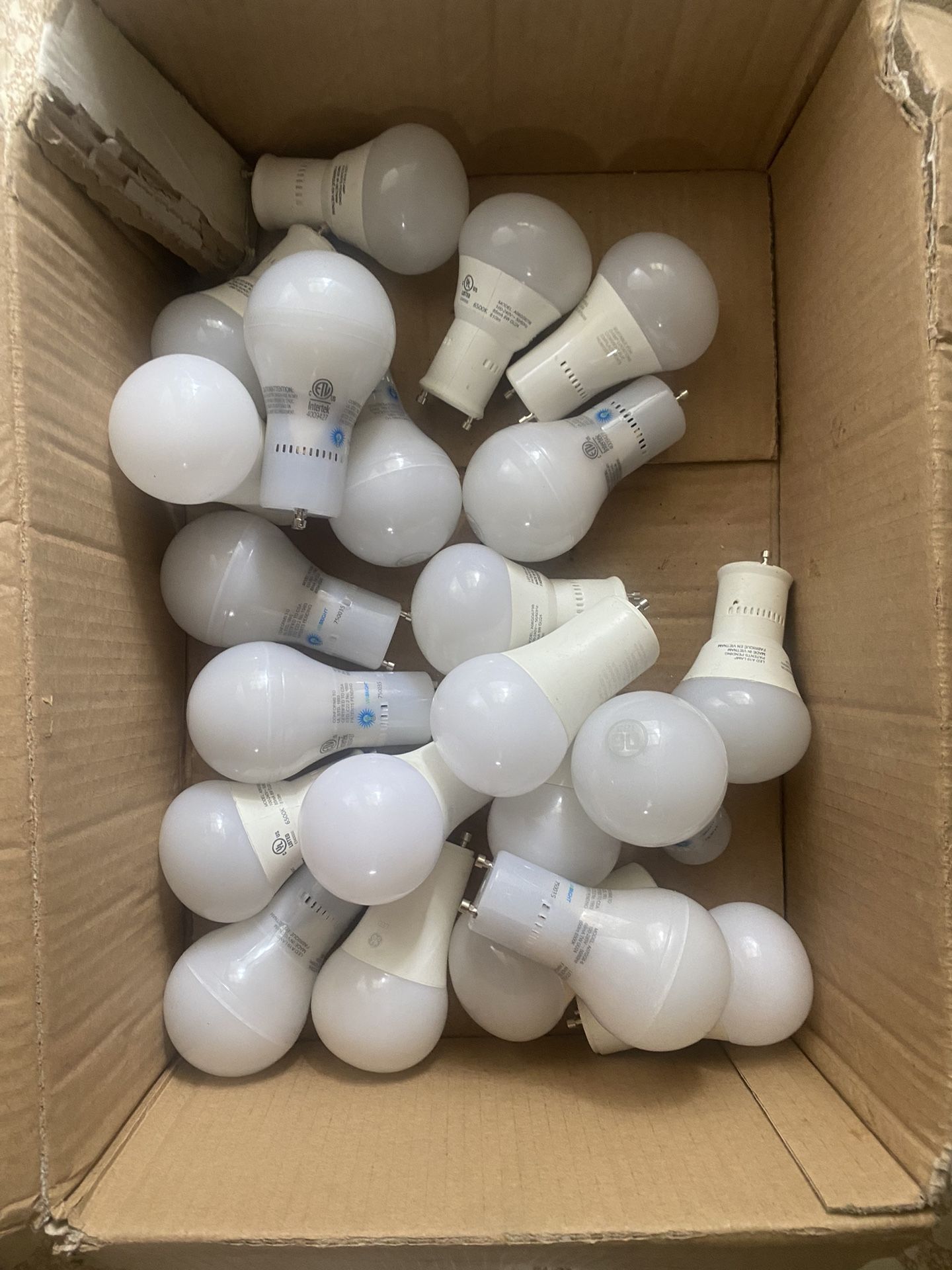 LED bulbs Bi-pin