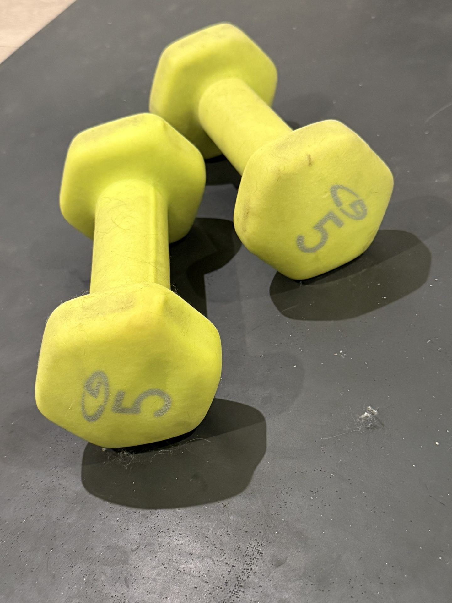 5lb Dumbbells
