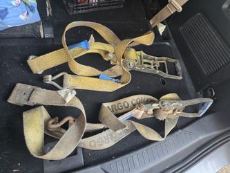 3333lb Ratchet Straps (2)
