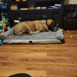 Veehoo Washable XXL Dog Bed for Extra Large Sized Dogs-2 in 1 Dog Couch Bed with Removable Bolster Fitted Sheet Cover, Big Orthopedic Dog Sofa Bed Pet