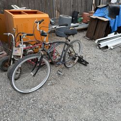 Schwinn Cruiser Which Stationary Exercise Stand