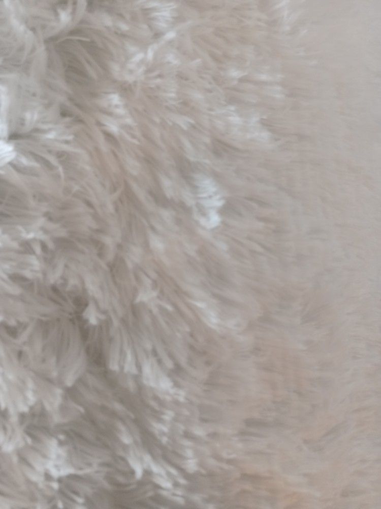 Carpet White Shag Fluffy