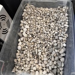 Lot Of Aquarium Stuff