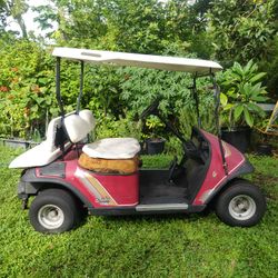 Project Golf Cart Vintage EZ GO Freedom TXT Medalist