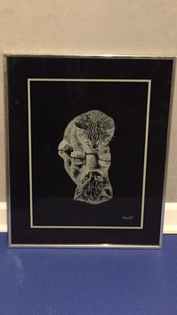 Rudy Droguett, Kitten on Mirror, vintage, framed