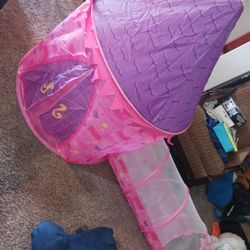 Cute Clean Pink And Purple Play Tent Has Carrying Case As Well $25 Cash Must Pick Up Broadway And APACHE BUCKEYE AZ 