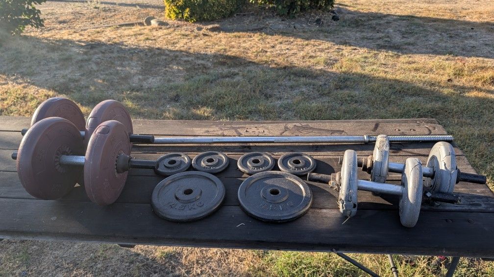 Dumbbells with Mixed Cast Iron and Vinyl Weight Plates