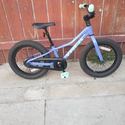 Trek 16 Bike