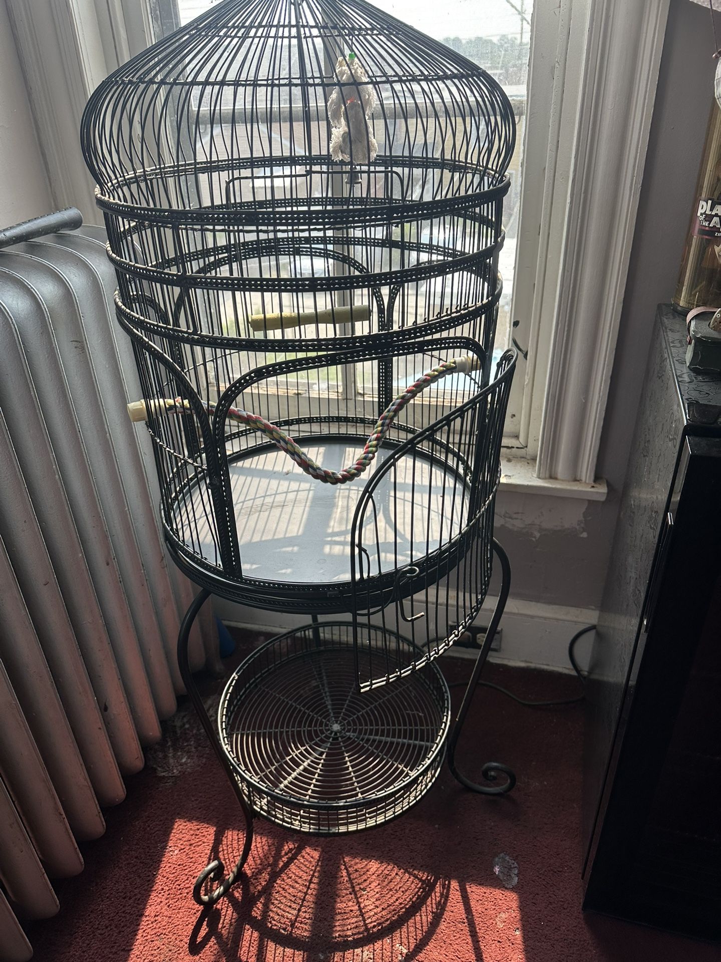 Birdcage