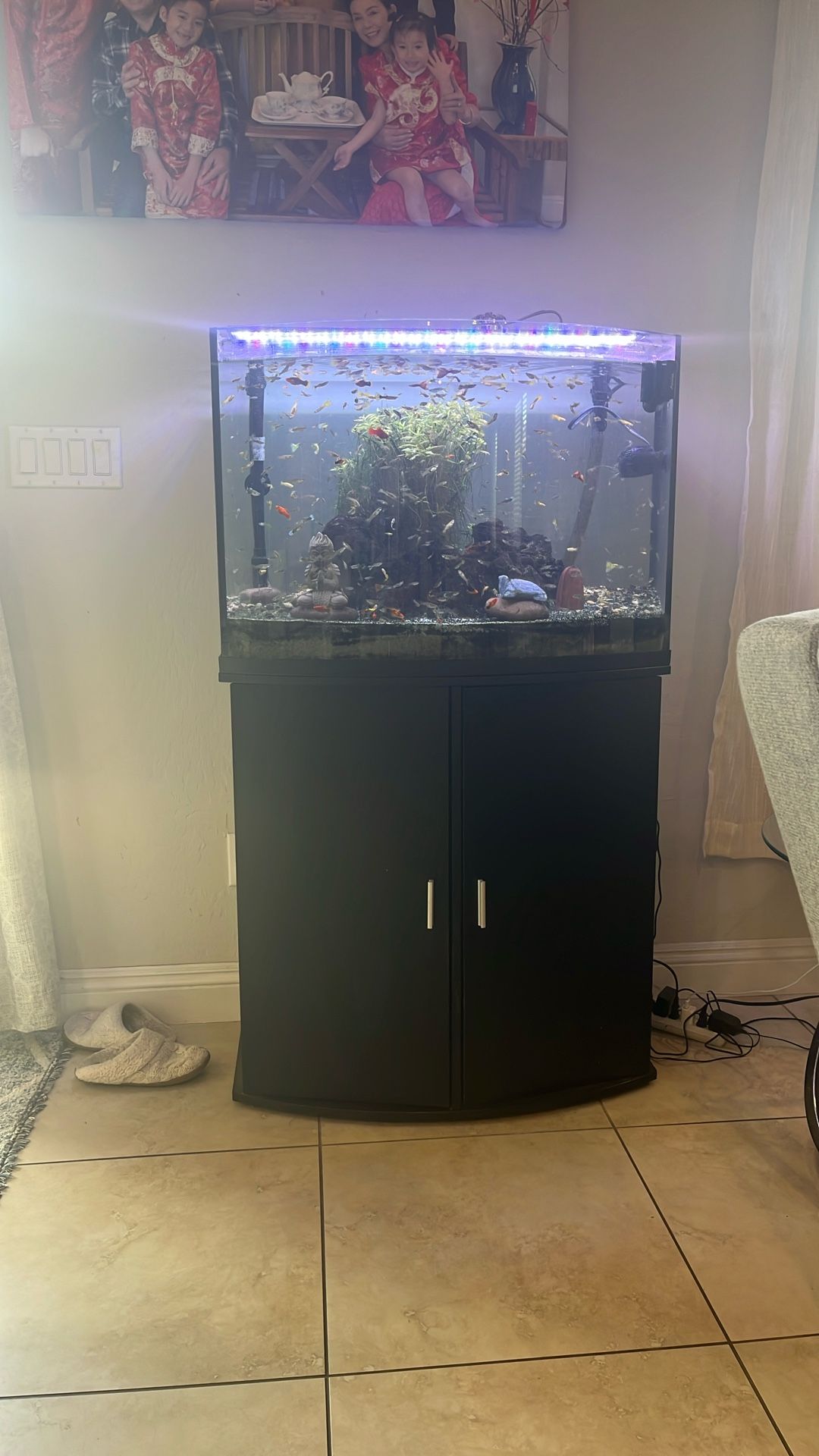 Fish Tank