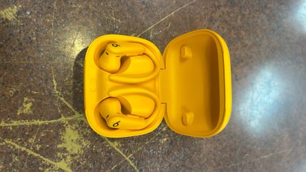 Apple Powerbeats pro 2 earbuds