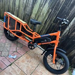 Wagon Ebike Radpower 