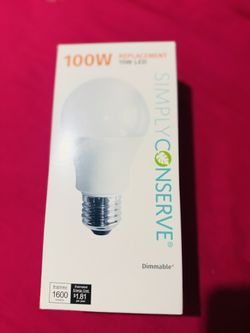 100 W Light bulbs