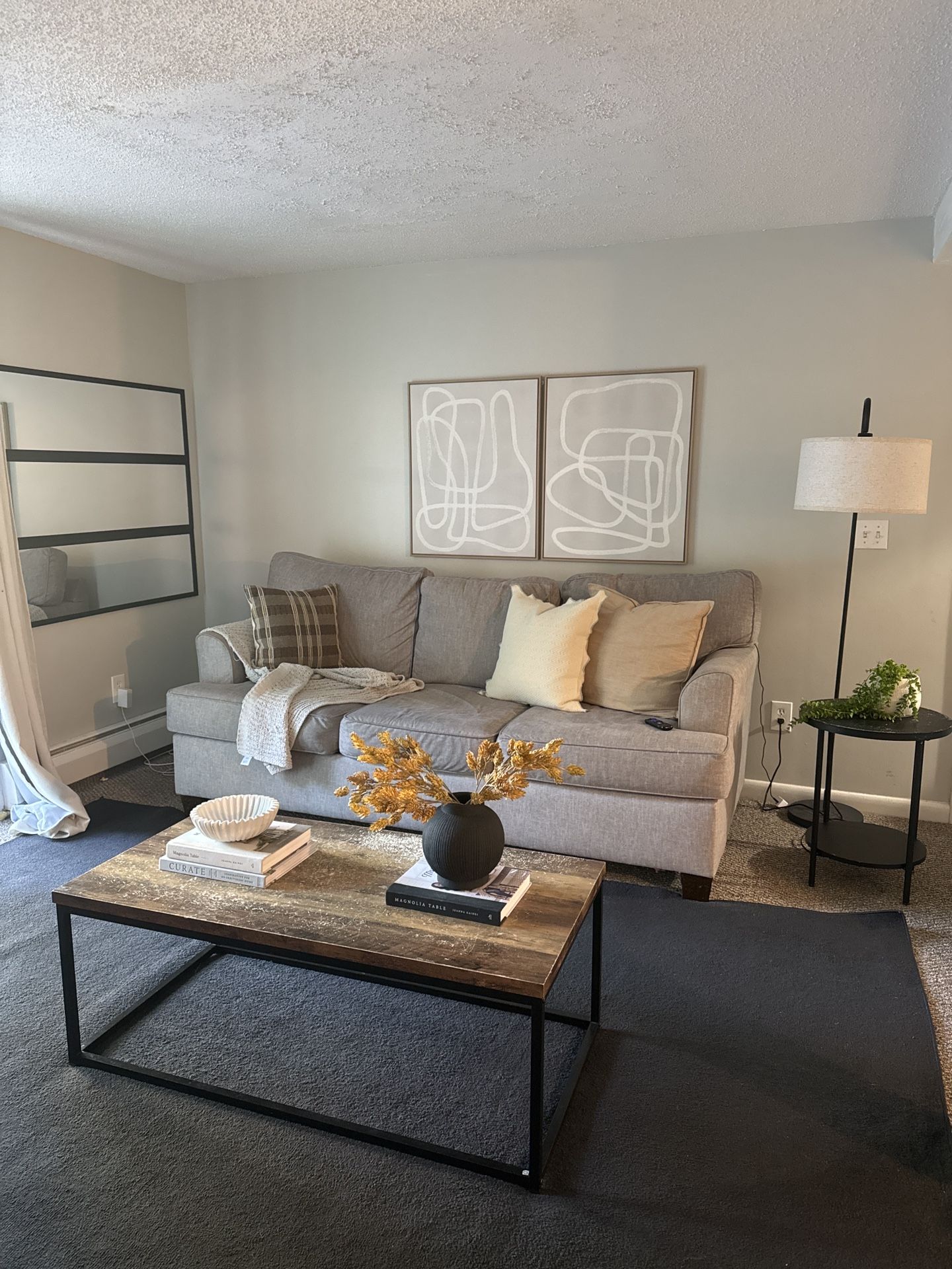 Light Grey Couch Stain Proof Easy To Clean